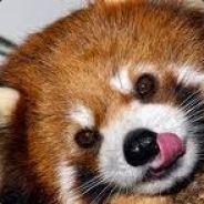 Shiroyasha's Stream profile image