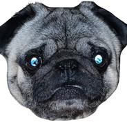 pug's Stream profile image