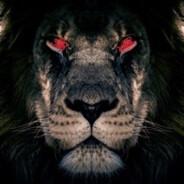 LigerXO's - Steam avatar