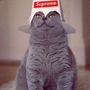 Axle_Mike's Stream profile image