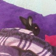 allanjair's Stream profile image
