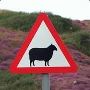 Wełniana Istota's Stream profile image