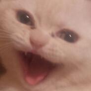 Meow's Stream profile image