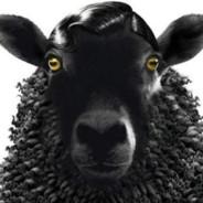 βlαckϨheeρ | Neoxa's Stream profile image