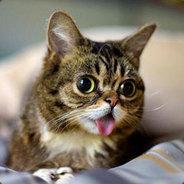 Iskander's Stream profile image