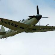 SeaFire's Stream profile image