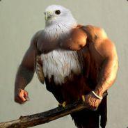 SolidoxX's - Steam avatar