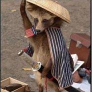 Harrison's Stream profile image