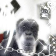 Padik_✓_tumane's Stream profile image