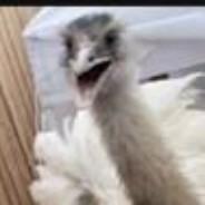 Joepie's Stream profile image