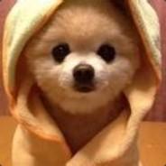 柴老弟素粉肉沫粉's Stream profile image