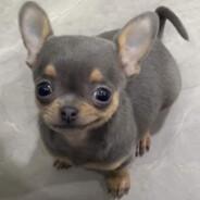 dcasabe's Stream profile image
