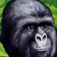 JRizzle62's Stream profile image