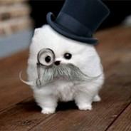 ahrend's Stream profile image