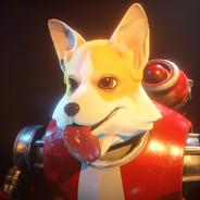 本地鱼敢炸就敢投's Stream profile image
