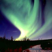 Go Home GI's - Steam avatar