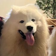 Thùy Liêm's Stream profile image