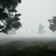 RypeezySqueezy's - Steam avatar
