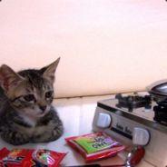 LuKAS's - Steam avatar