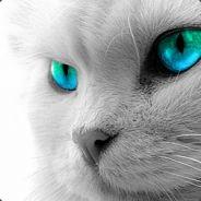 Jaume Vidal's Stream profile image