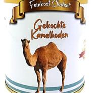 Gekochte Kamelhoden's Stream profile image