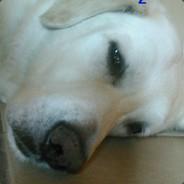 mrmagnanimous's - Steam avatar