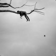 MONDOFOBİL's - Steam avatar