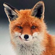 Enowise's - Steam avatar
