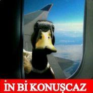 Silver.'s Stream profile image