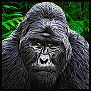 MengNan's Stream profile image