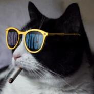 DestrO_oYer's Stream profile image