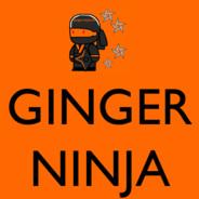 GingerNinja's Stream profile image