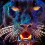 Schirema's Stream profile image