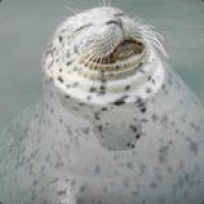 Ok's - Steam avatar