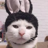 TanRod's Stream profile image