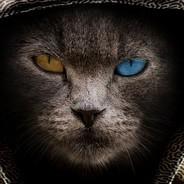 Mali's Stream profile image