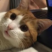 ?'s - Steam avatar
