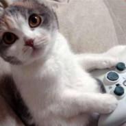 Gaming Kitty TE's - Steam avatar