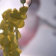 Giga's Stream profile image