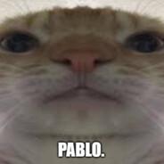 Kamil's Stream profile image