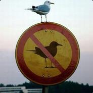 Caloo's Stream profile image