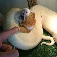 juan.ramirez2361's Stream profile image