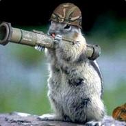 MadSquirrel's - Steam avatar