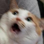 MotherOfGod's Stream profile image
