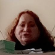 nop's Stream profile image