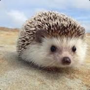 ladykatkat's - Steam avatar