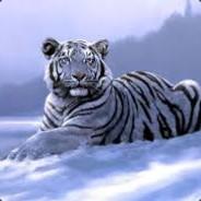 BattleFreak's Stream profile image