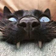 The CaT is a lie's Stream profile image