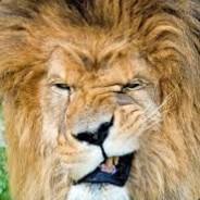 Great_Zilber's Stream profile image