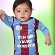 Yavru Hamsi Piri Reis's Stream profile image